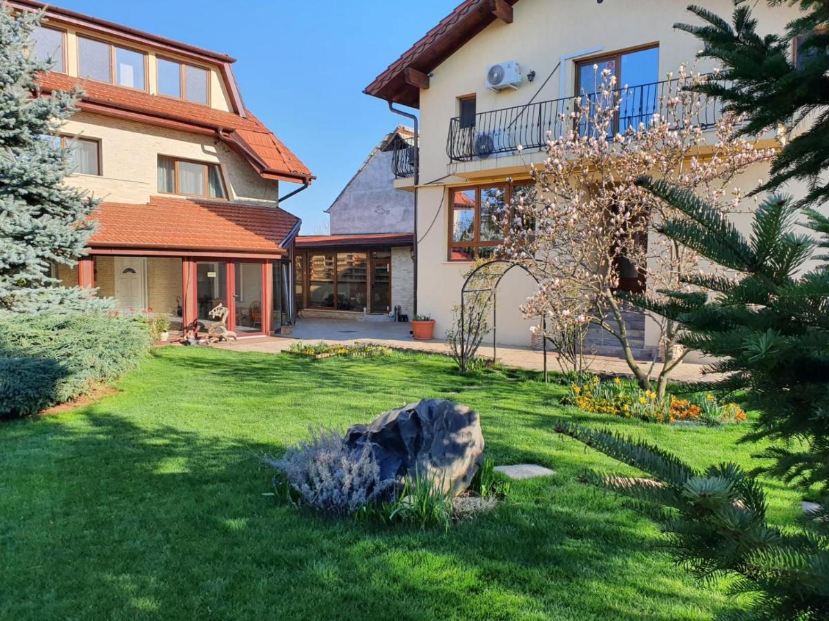 Bed and Breakfast Casa Irinella Satu Mare Zewnętrze zdjęcie